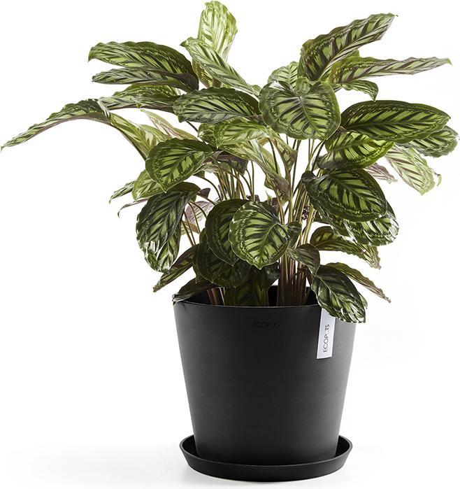 Actual product image Ecopots Saucer Round