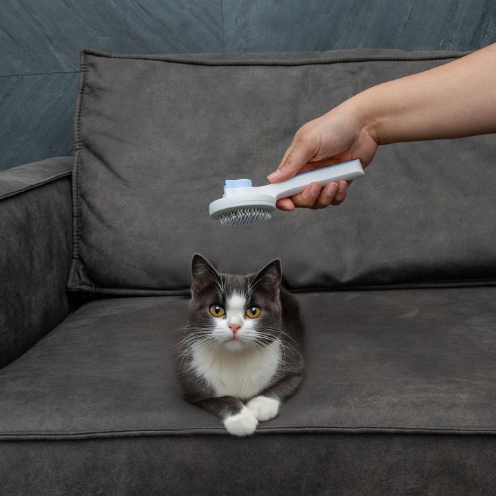 Actual product image Intirilife Tierhaarbürste (Cat, Dog)
