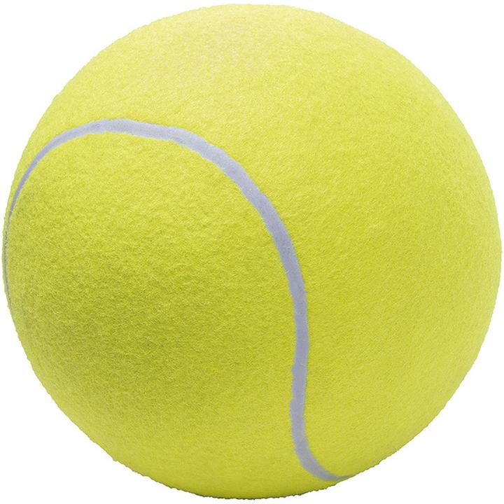 Image du produit WDK Balle Tennis Geante D21cm G