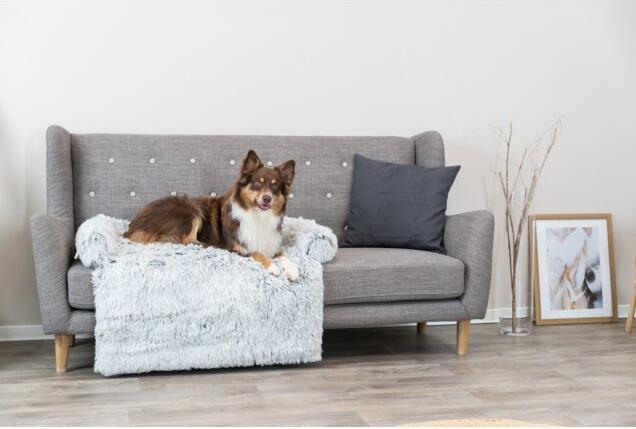 Image du produit Trixie Harvey (Chien)