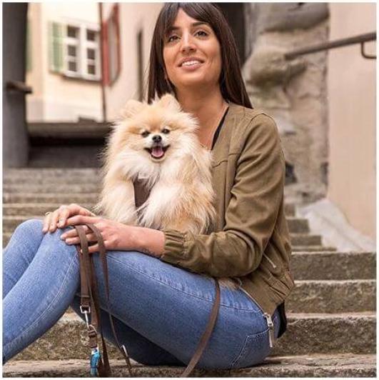 Actual product image Curli Adjustable nylon lead brown M (M, Dog)