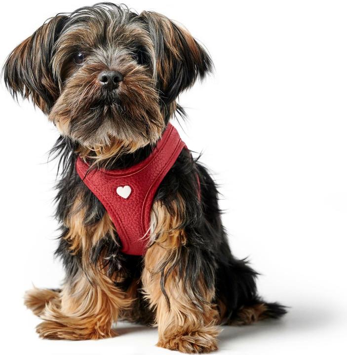 Produktbild Hunter Geschirr Love 37-40/XS-S, Rot/Schwarz, Hundegrösse: S, XS (Hund, Spazieren)