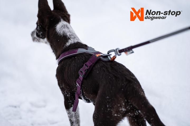 Image du produit Non-Stop Dogwear Harnais de ligne 5.0 Orange 8 (8, Chien, Général)