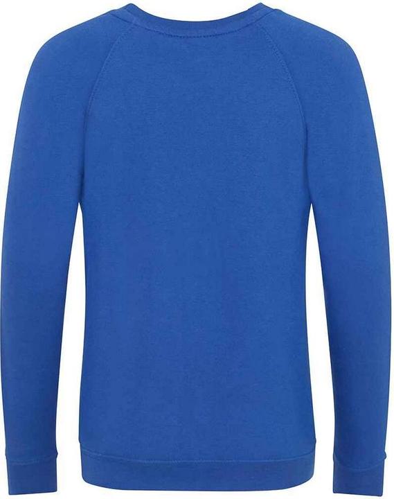 Actual product image Awdis Childrens/Kids Academy Raglan Sweatshirt (140)