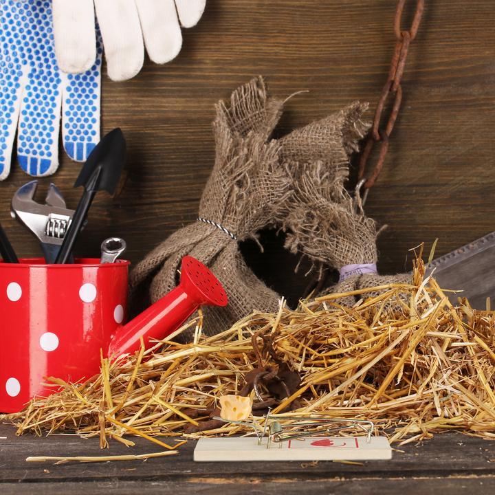 Actual product image Relaxdays 25x mousetrap