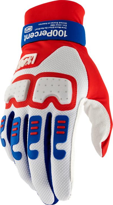 Produktbild 100% Langdale Gloves (L)