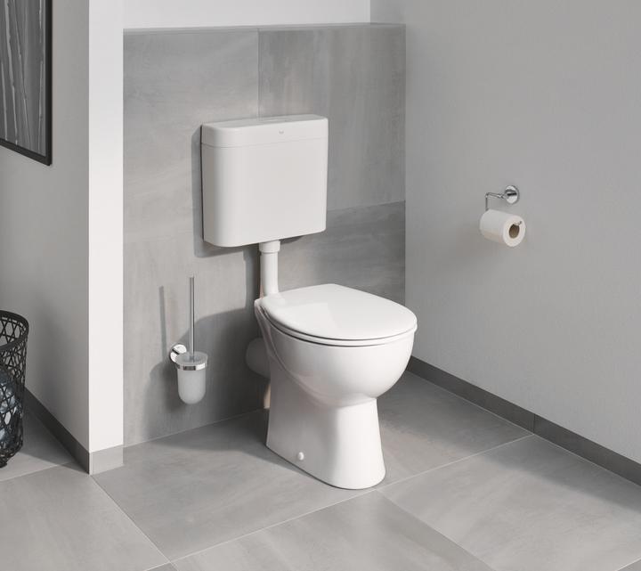 Actual product image Grohe Construction ceramic toilet seat with soft close