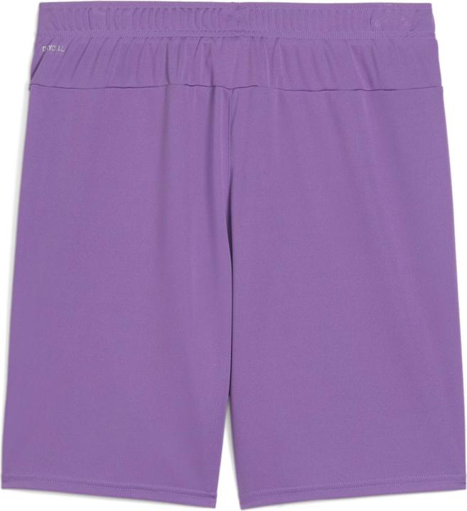 Actual product image Puma teamGOAL shorts (XL)