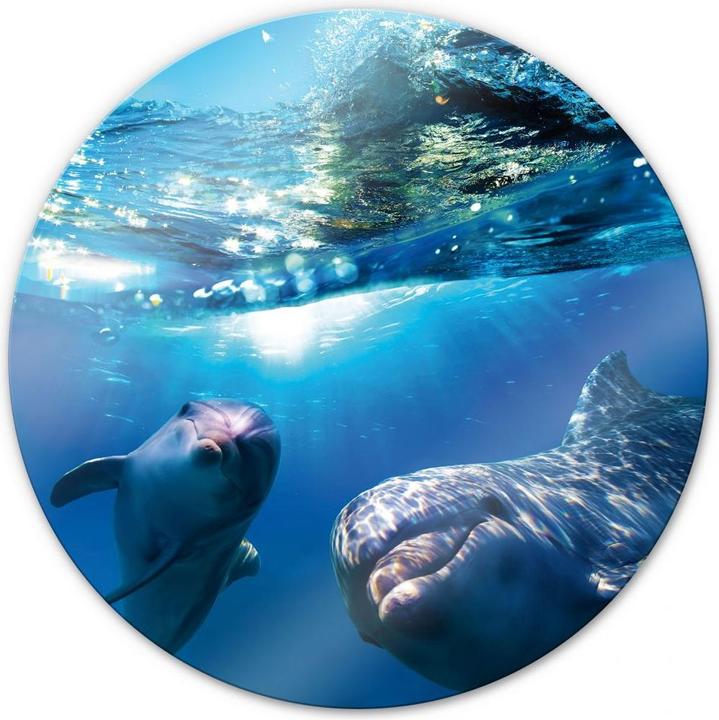 Produktbild Trenddeko Dolphins Underwater - rund (Ø 50 cm)