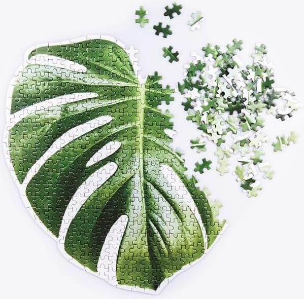 Actual product image Doiy Slow Puzzle Monstera (500 pieces)