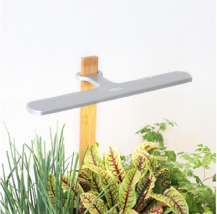 Produktbild Prêt à Pousser Lilo