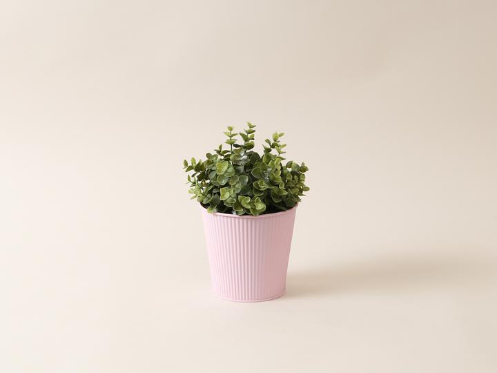 Actual product image I Am Creative flowerpot (16 cm)