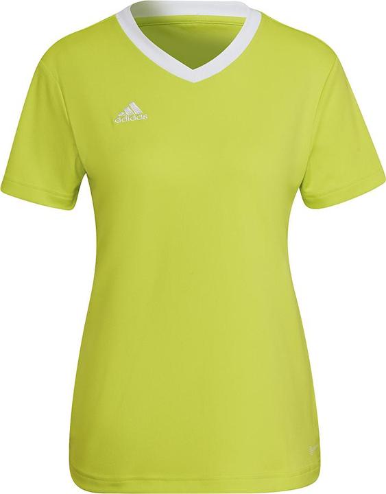 Giallo / Bianco