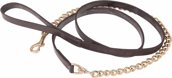 Produktbild TdeT Schauleine mit doppelter Kette
