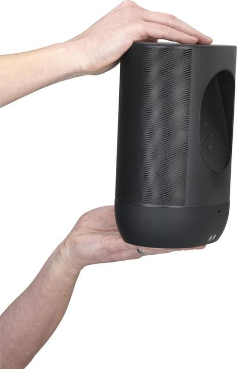 Actual product image Mountson MS31PBX2 (Wall installation, Not movable)