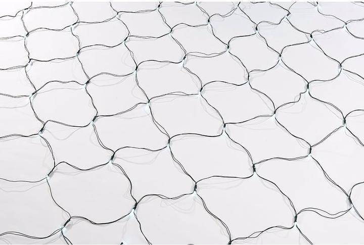 Actual product image Lunartec Solar LED light net (3 m)