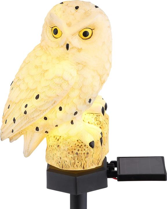 Actual product image Globo Solar light black 1xLED (IP44)