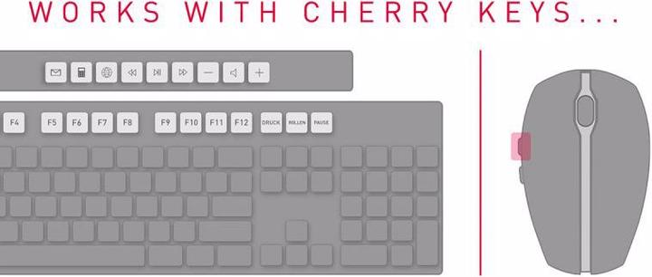 Actual product image CHERRY Stream (US, Cable)