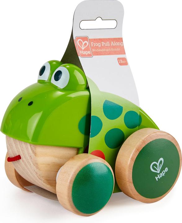 Produktbild Hape Frosch