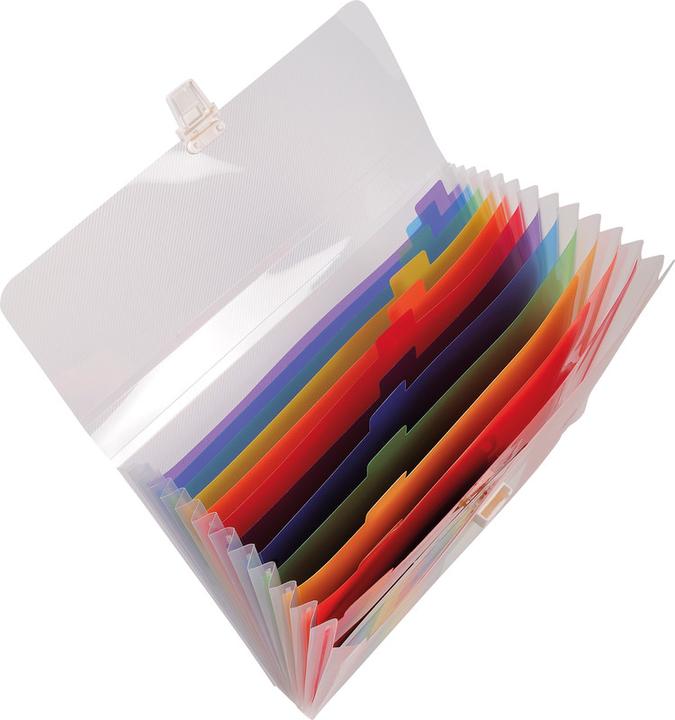 Actual product image Exacompta Crystal folder with handle (A4, 1 x)