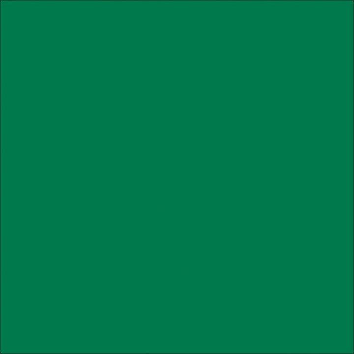 Produktbild Creativ Company Seidenpapier Grün 10 Blatt 14 gr, 50x70cm (14 g/m², 10 x)
