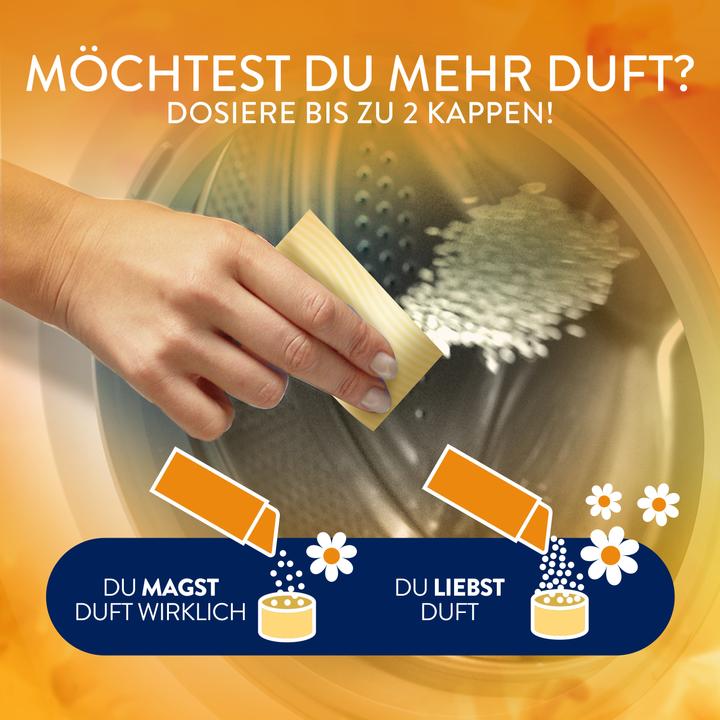 Actual product image Lenor Goldene Orchide (22 Washing cycles, Laundry beads)