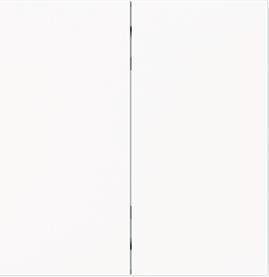 Produktbild Busch-Jaeger Wippe 2-fach Smart Switch