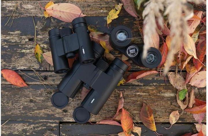 Produktbild Dörr Fernglas Scout 8x42 (8 x, 42 mm)