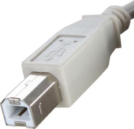 Actual product image Benel USB cable 5m (5 m, USB 2.0)