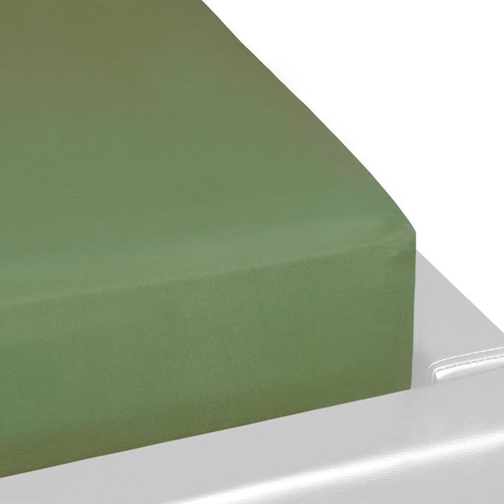 Verde oliva