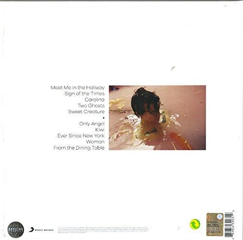 Image du produit Styles Harry (Styles Harry, 2017)