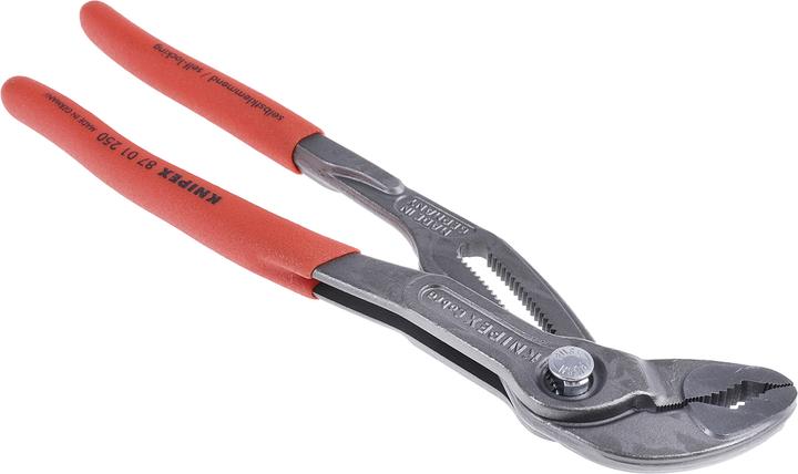 Image du produit Knipex Cobra (250 mm)