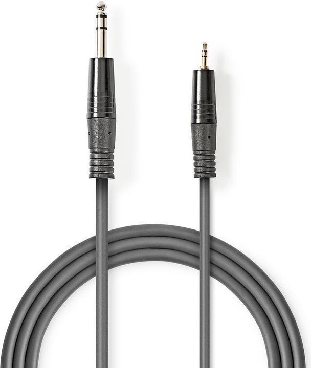 Actual product image Nedis Audio cable stereo 6.35 mm male - 3.5 mm male (3 m)