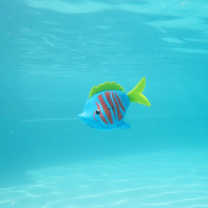 Immagine prodotto Swimways Rainbow Reef Beta Fish (Verde, Blu, Rosso)