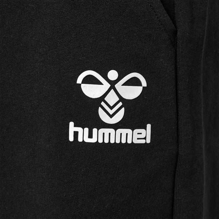 Image du produit hummel Hmlicons Shorts Reguliers (M)