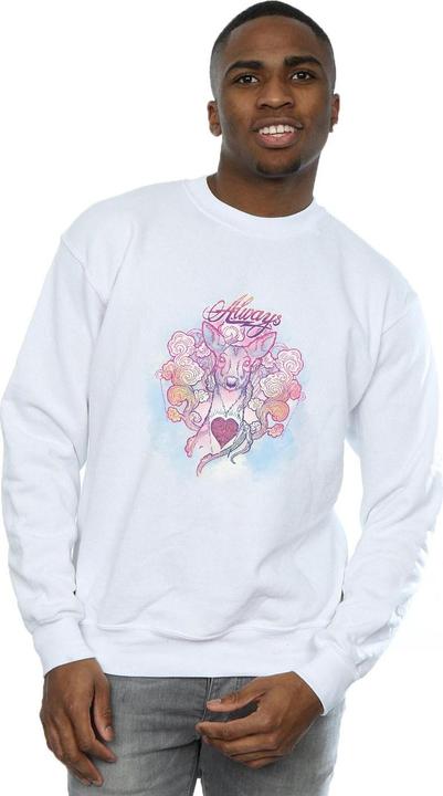 Actual product image Mens Always Doe Sweatshirt (M)