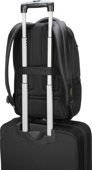 Immagine prodotto Targus Citygear (35.65 l)