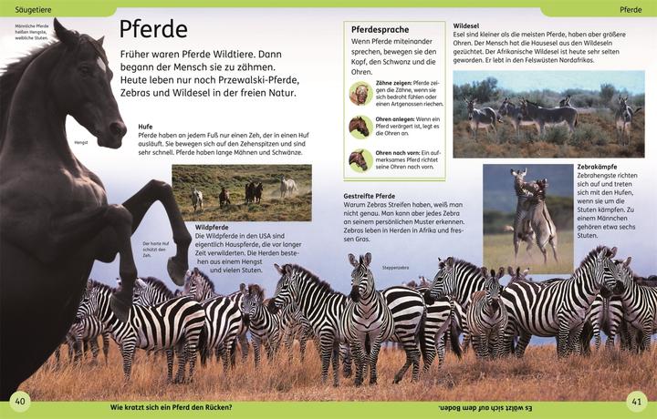 Produktbild DK Kinderlexikon Tiere (Deutsch, DK Verlag - Kids, 2023)