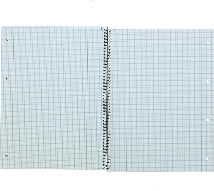 Immagine prodotto Landré Quaderno universitario A4+ per mancini (A4+, Quadretti, Nessuna rilegatura)