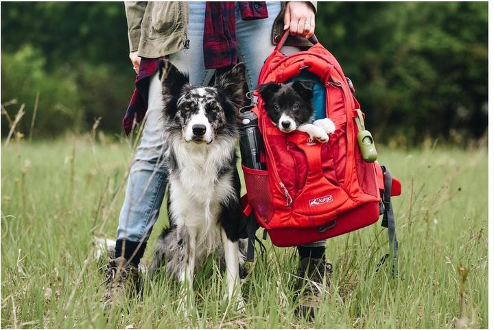 Produktbild Kurgo G-Train K9 (Hund, Sicherheitsverschluss)