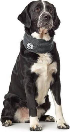 Immagine prodotto Hunter Sciarpa per cani Malmö (Scarpe per cani)