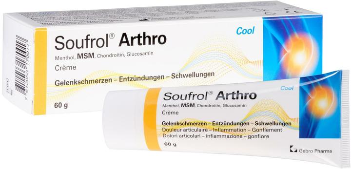 Soufrol Arthro Creme (1 x, 60 ml, 80 g)