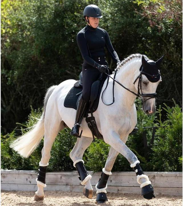 Actual product image Premier Equine Metaro (XS)