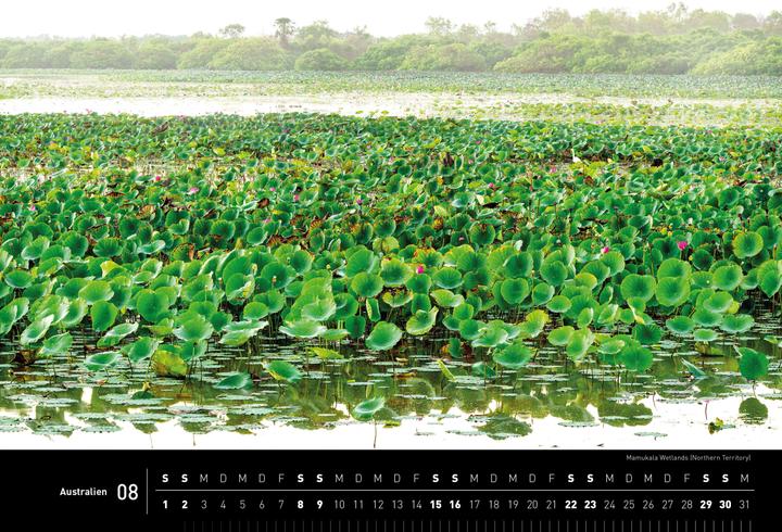 Image du produit Australien Premiumkalender 2026 (50 x 35 cm, Couverture rigide, Allemand)