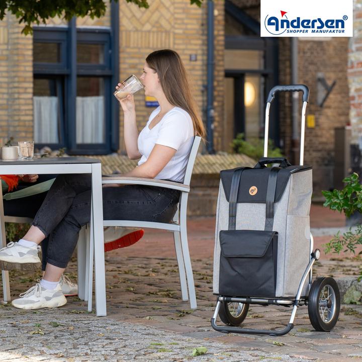 Image du produit Andersen Chariot d'achat Royal Senta 2.0