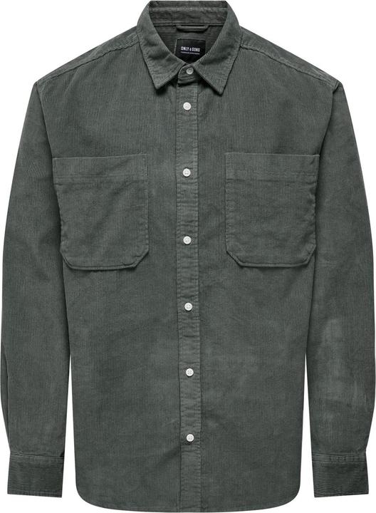 Castor Gray