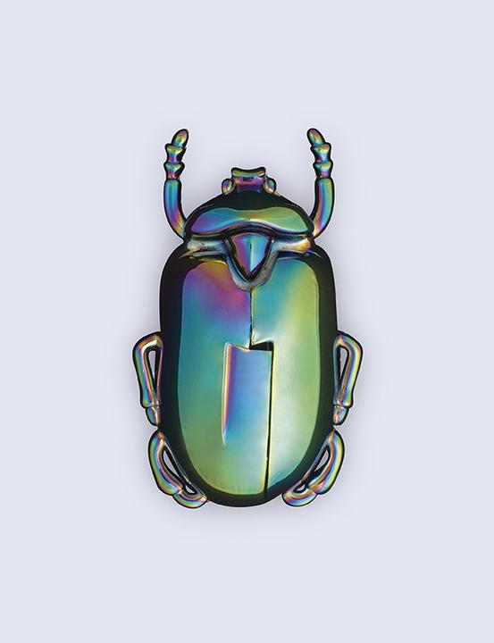 Immagine prodotto Doiy Insectum (Cavatappi)