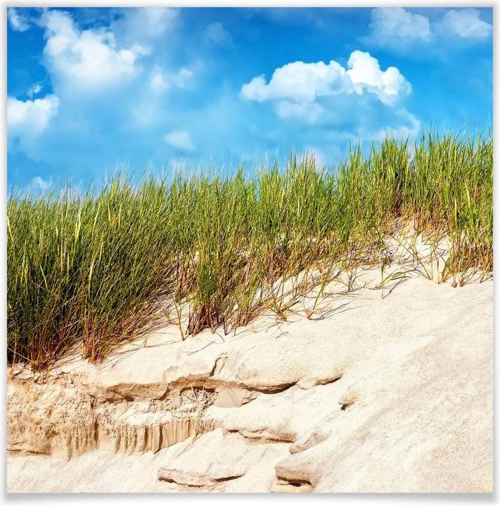 Image du produit Trenddeko Mer Baltique paysage de dunes (40 x 40 cm)