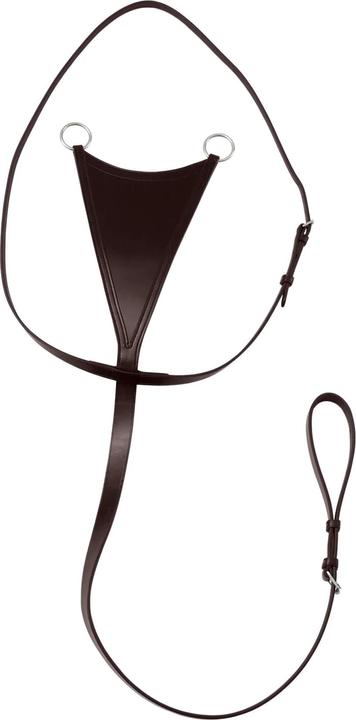 Premier Equine Rosello