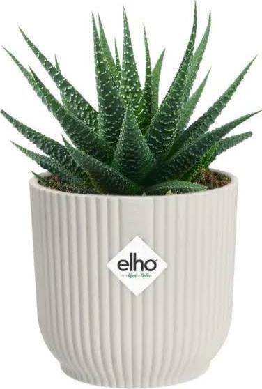 Image du produit Elho Vibes (29.50 cm)